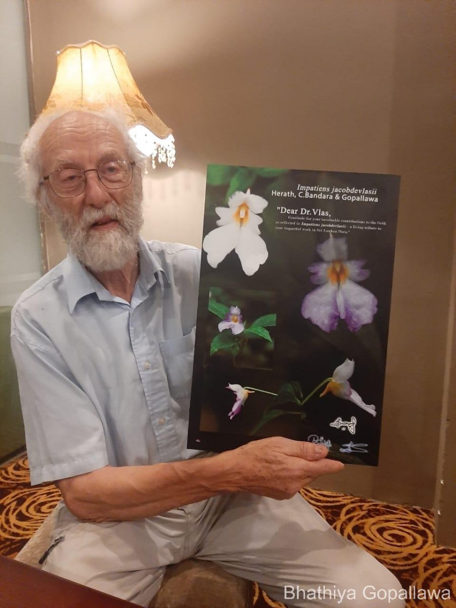 Impatiens jacobdevlasii Herath,C.Bandara & Gopallawa