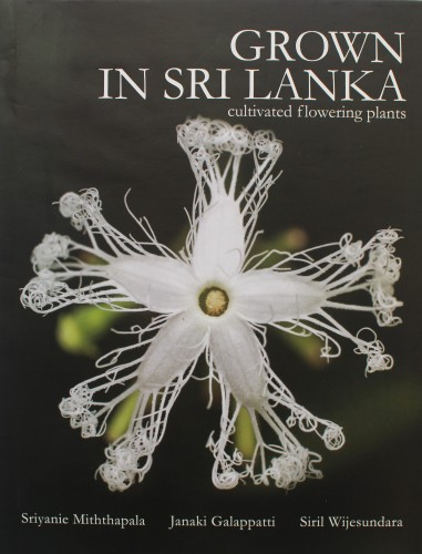 F - Grown in Sri Lanka - Cultivated Flowering Plants
