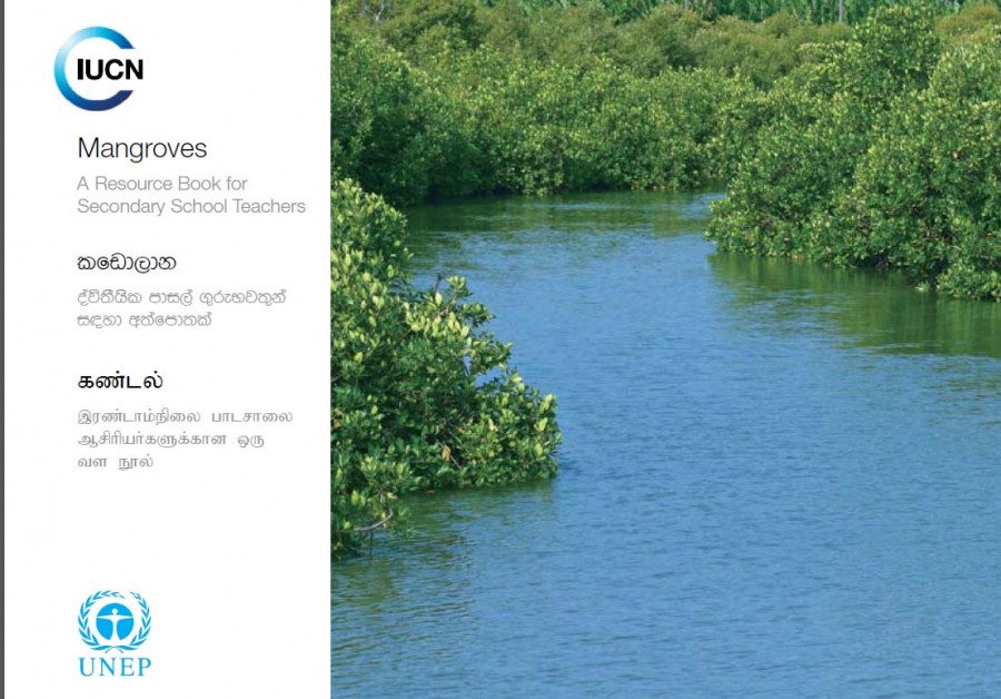 Mangroves - කඩොලාන