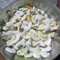 Anacardium occidentale L.